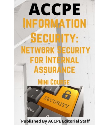 Information Security - Network Security for Internal Control Assurance 2025 Mini Course